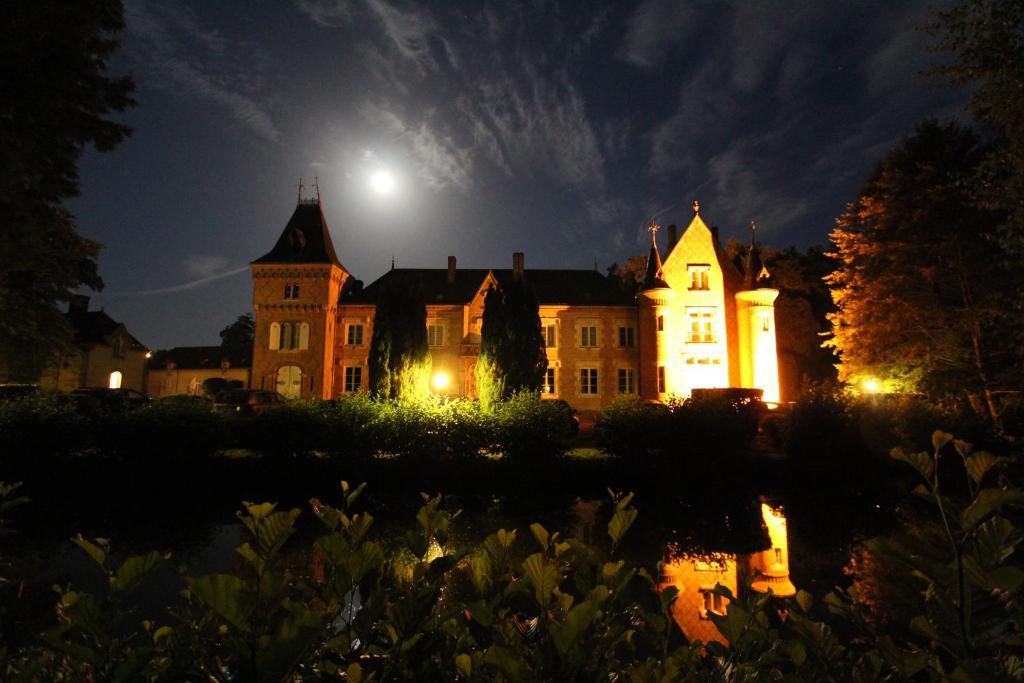 Hostellerie Du Château Les Muids La Ferté-Saint-Aubin Exterior foto